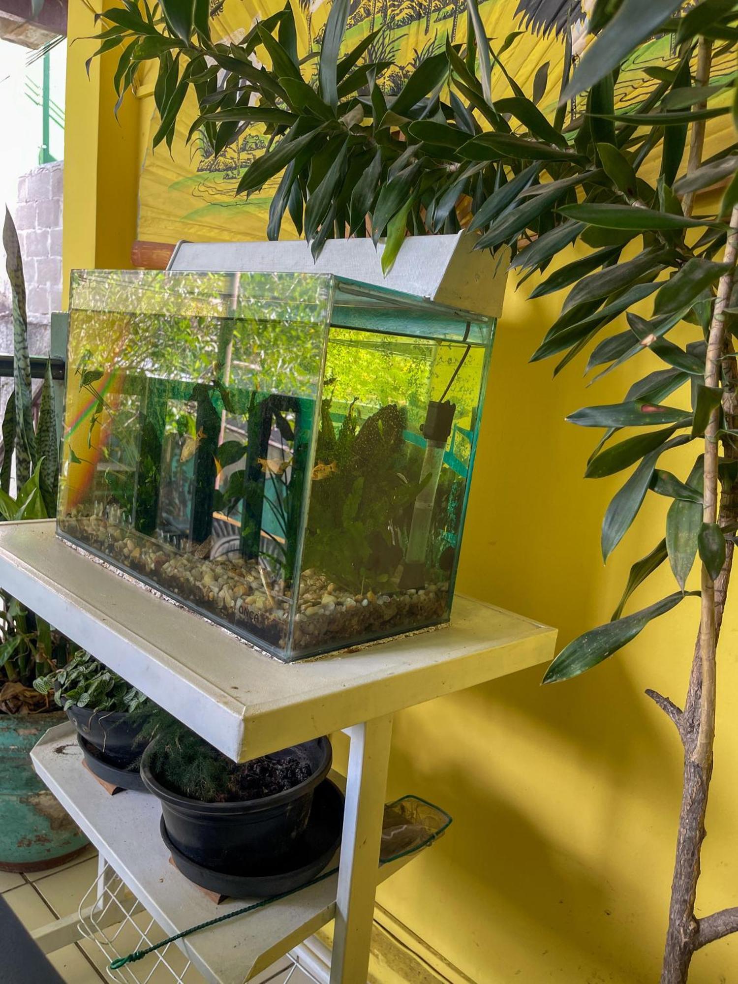 Onca Da Praia Hostel Vitória Zewnętrze zdjęcie